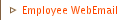 Employee WebEmail